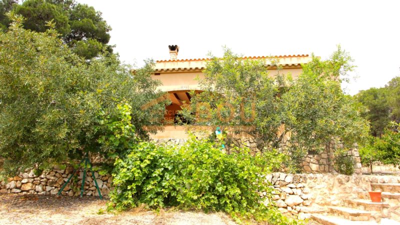 Perelló-61