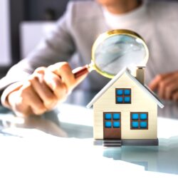 asesor asesor inmobiliario