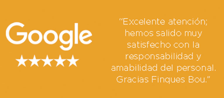 google estrellas